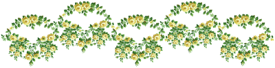 Artist Paper Flowers Borders Png PNG Images