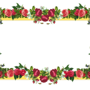 Flowers Borders Png Image PNG Images