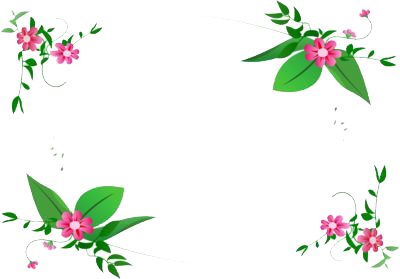 Flowers Borders Png Images PNG Images