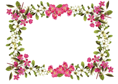Flowers Borders Png Transparent Photo PNG Images