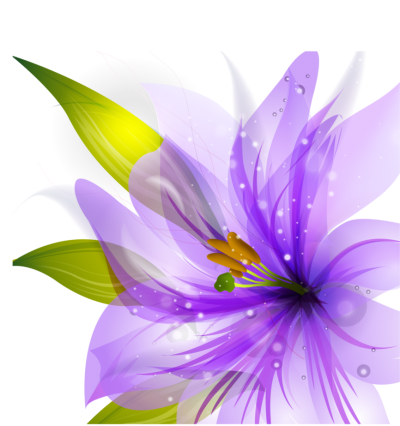 Flower Purple Vector Hq Png PNG Images