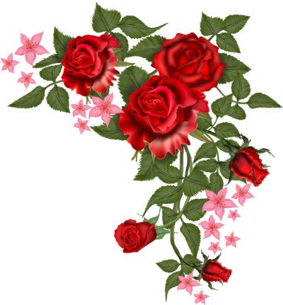 Flowers Vector Rosa Png PNG Images