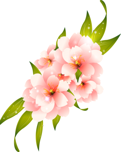 Pink And Whire Flower Vector Hq Png PNG Images