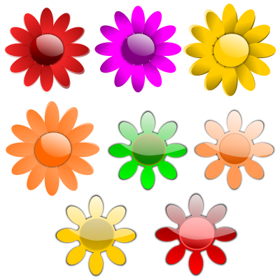 Vector Flowers Colorful Picture PNG Images