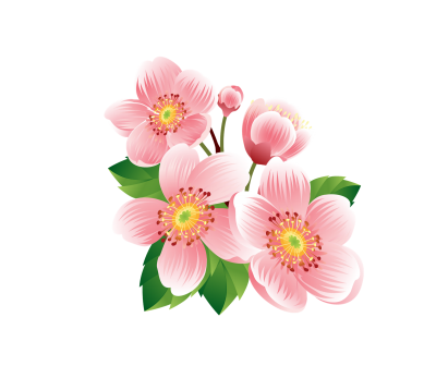 Flowers Best Png PNG Images