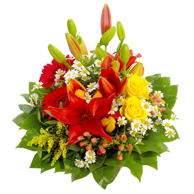 Flowers Free Transparent Png PNG Images