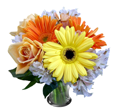 Flowers Free Download Transparent PNG Images