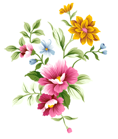 Flowers Picture PNG Images