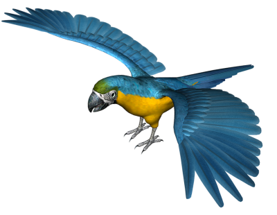 Blue With Open Wings Parrot Fotos Png Clipart PNG Images