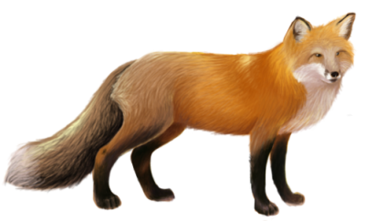 Fox Clipart PNG Photos PNG Images
