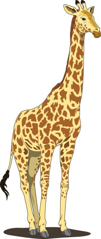 Giraffe Cartoon Png