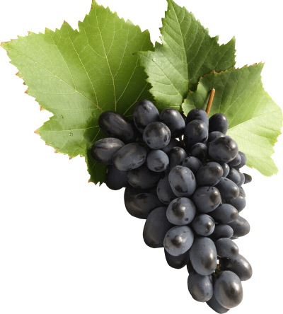 Grape HD Photo Png PNG Images