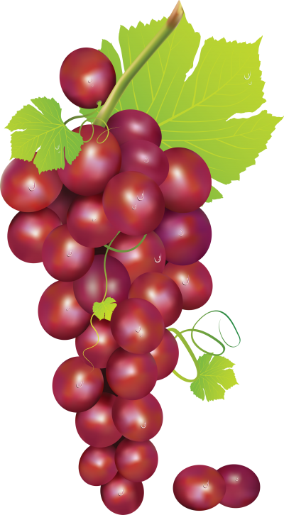 Wonderful Grape Picture Image PNG Images