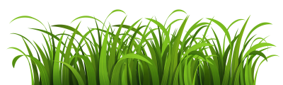 Green Grass Drawing Clipart, Sky, Pasture, Shepherd PNG Images