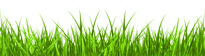 High Quality Green Download Grass, Rooted, Summer, Winter PNG Images