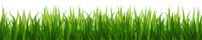 PNG Bottom Green Grass, Growth, Yield, Production PNG Images
