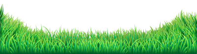 Wide Angle Photograph Of Green Grass HD, Polyana, Nature PNG Images