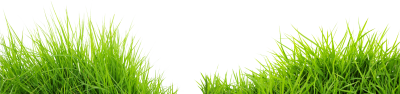 Double Sided Green Grass Photo, Photoshop, Design Photos, Montage PNG Images