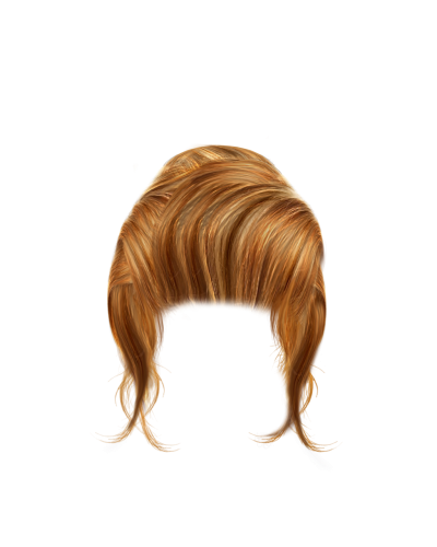 Transparent Caramel Color Bulk Hair, Bun Styles PNG Images