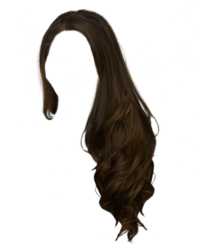 hair hairstyle wig human black hair png download  521625  Free  Transparent Hair png Download  CleanPNG  KissPNG