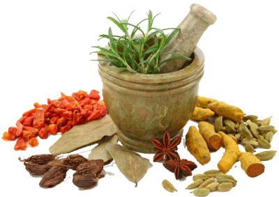 Herbs Icon Clipart PNG Images