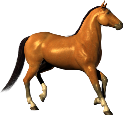 Horse Simple PNG Images