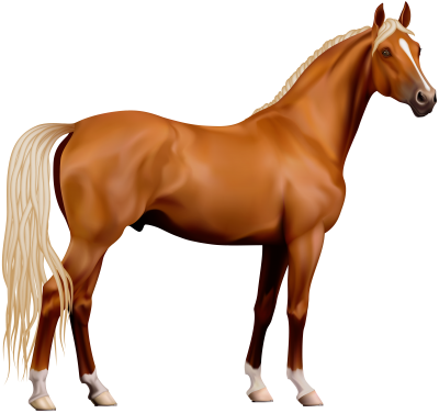Amazing Horse PNG PNG Images