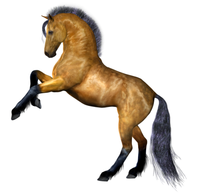 Horse Cut Out PNG Images