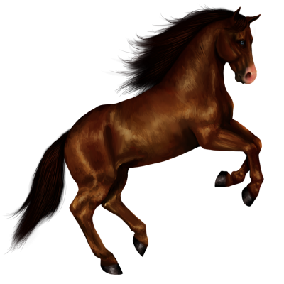 Horse Picture Download PNG Images