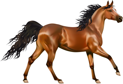 Running Horse Picture Clipart PNG Images