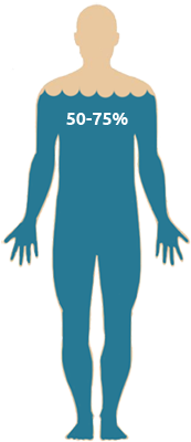 Water Ratio In The Human Body Free Png PNG Images