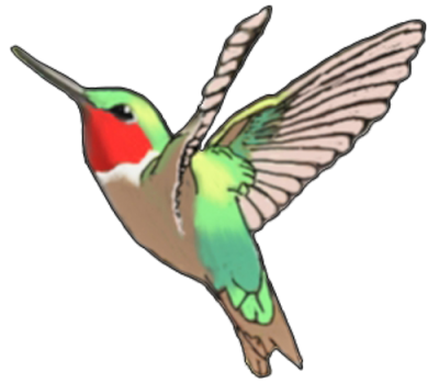 Hummingbird Tattoos Cut Out PNG Images