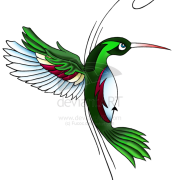 Hummingbird Tattoos Free Download PNG Images