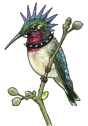 Simple Hummingbird Tattoos PNG Images