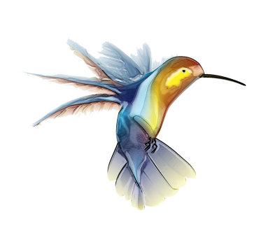 Vector Hummingbird Tattoos PNG Images