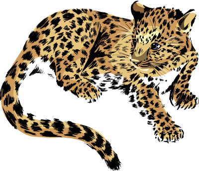 Jaguar Simple PNG Images