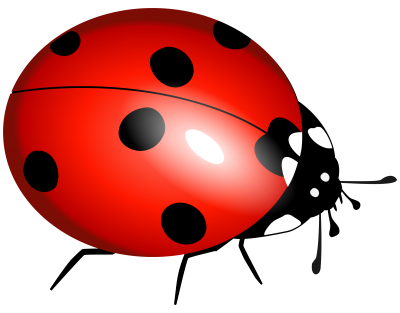 Ladybug Clipart File PNG Images