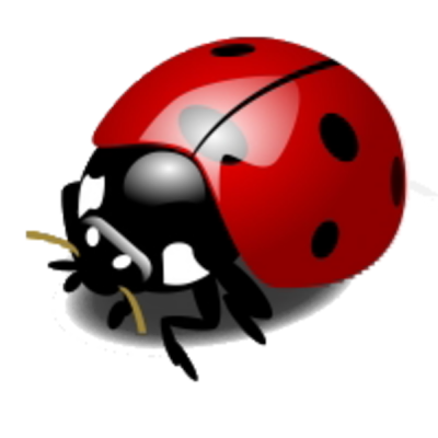 Ladybug Transparent Picture PNG Images
