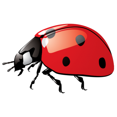 Ladybug Wonderful Picture Images 3 PNG Images