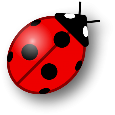 Ladybug Wonderful Picture Images 5 PNG Images