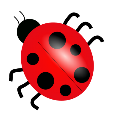 Ladybug Vector 21 PNG Images