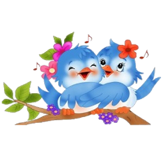Love Birds Images PNG Images