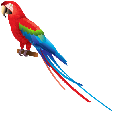 Macaw Hd Photo PNG Images