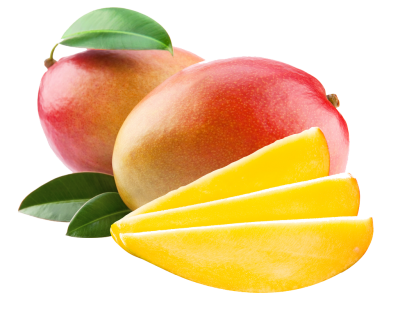 Mango Vector PNG Images