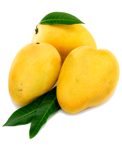 Mango Transparent Picture PNG Images