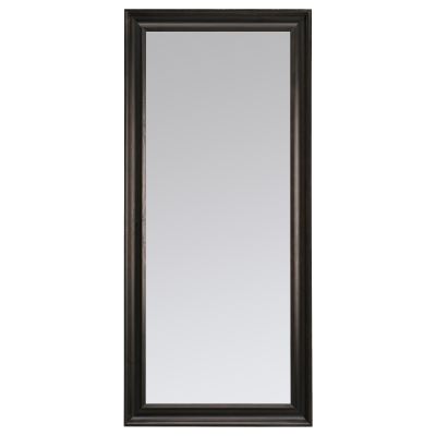 Picture Mirror PNG PNG Images