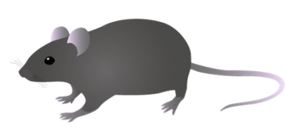 Digital Mouse Free Download PNG Images