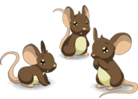Three Brown Mouse Transparent Png Background Download PNG Images