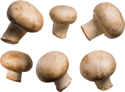Mushroom Cut Out PNG Images