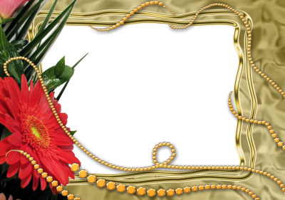  Ornate Floral Transparent Frame Download PNG Images
